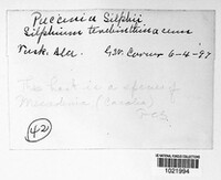 Image Associated With the Occurence